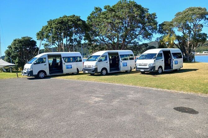 German Speaking Tour of Kawiti Glow Worm Caves, Opua Kauri Walk - The Sum Up: Who Will Love This Tour?