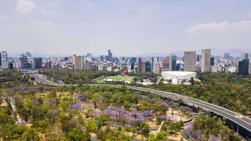 Get lost in the neighborhoods of CDMX on a private tour. - Final Thoughts