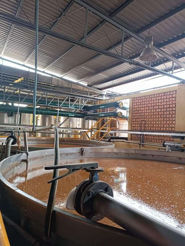 Get on Chile: know everything about tequila in "La Rienda" - What Sets This Tour Apart