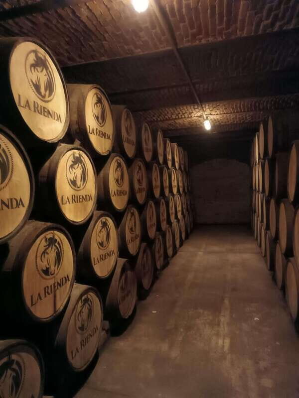 Get on Chile: know everything about tequila in "La Rienda" - Practical Details and Tips