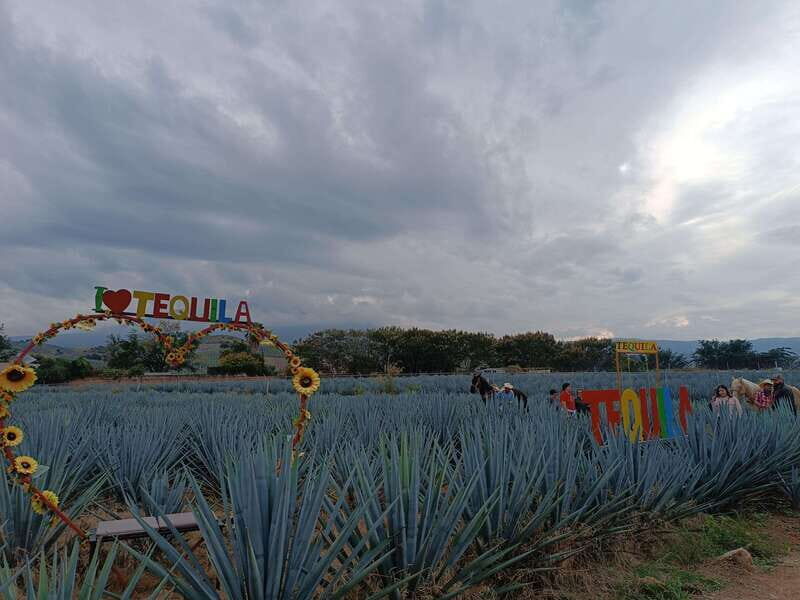 Get on Chile: know everything about tequila in "La Rienda" - Final Thoughts