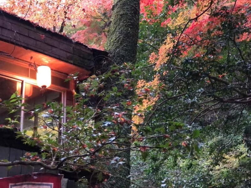 Get to know Minoo from Osaka. Katsuoji Temple, Ryuanji Waterfall and Ryuanji Temple - Authentic Experiences and Authenticity