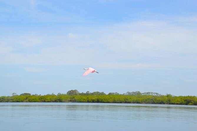 Get Up And Go Kayaking - New Smyrna Beach - Practical Considerations
