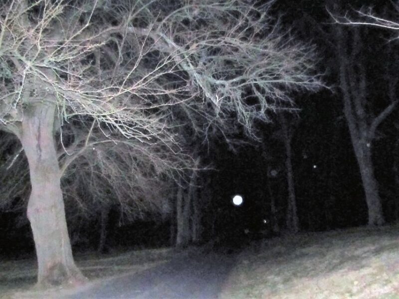 Gettysburg: Ghost Hunt Tour with Ghost Hunting Equipment - The Sum Up
