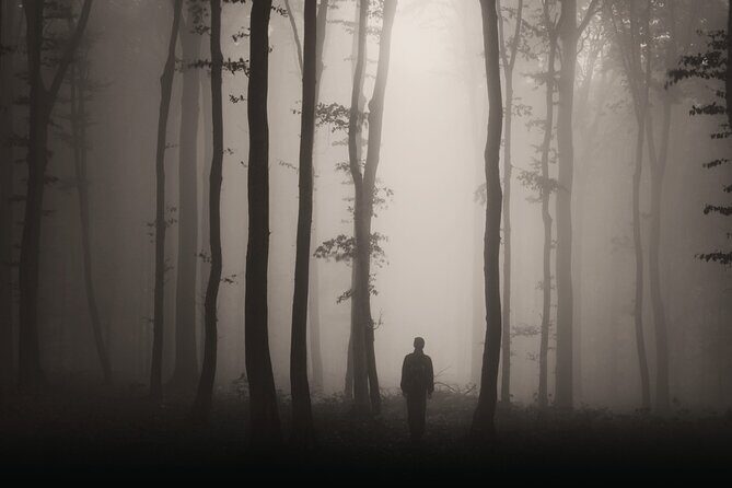 Gettysburg: Ghost Hunt Tour with Ghost Hunting Equipment - Key Points