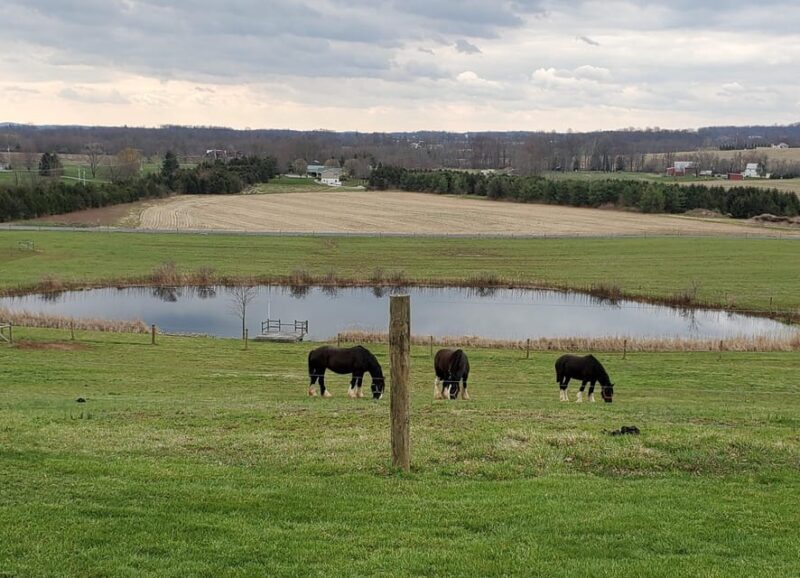 Gettysburg: Horse-Drawn Carriage Tour Countryside & Orchards - Key Points