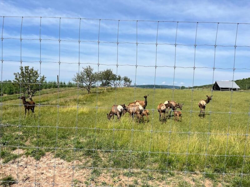 Gettysburg: Horse-Drawn Carriage Tour Countryside & Orchards - Practical Tips for Visitors