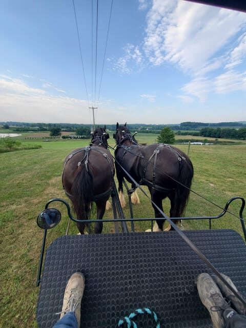Gettysburg: Horse-Drawn Carriage Tour Countryside & Orchards - The Sum Up