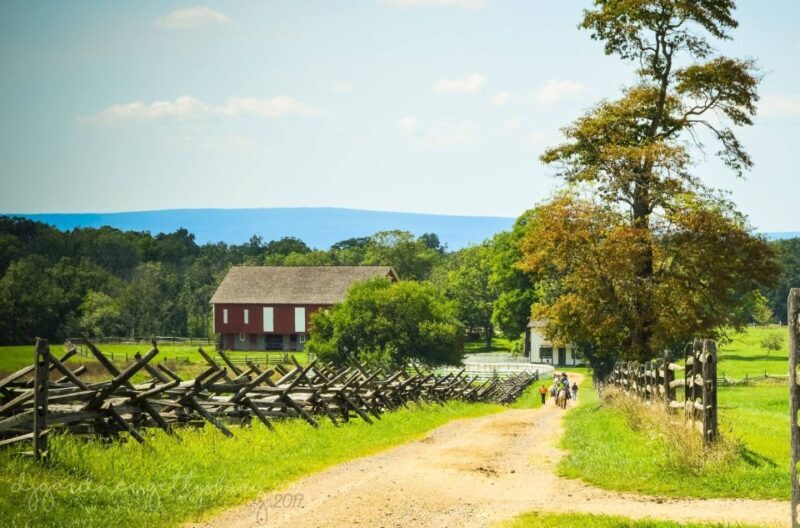 Gettysburg: Private Tour with Licensed Battlefield Guide - Who This Tour Is Best For