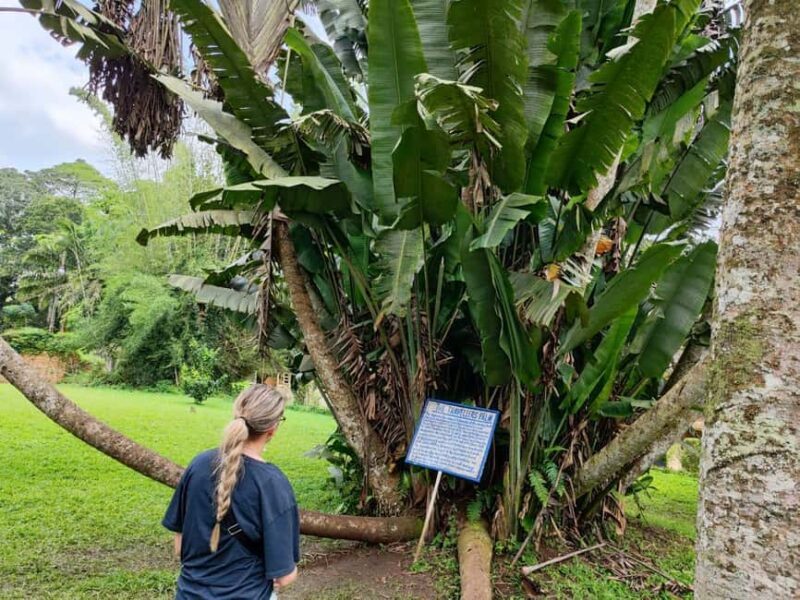 Ghana: Accra, Mole National Park, and Cape Coast Tour - An In-Depth Look at the Ghana Tour Experience