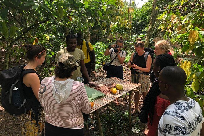 Ghana Eastern Explorer - Boti Falls, Aburi Gardens & Tetther Quarshie Cocoa Farm - Aburi Botanical Gardens: A Breath of Fresh Air