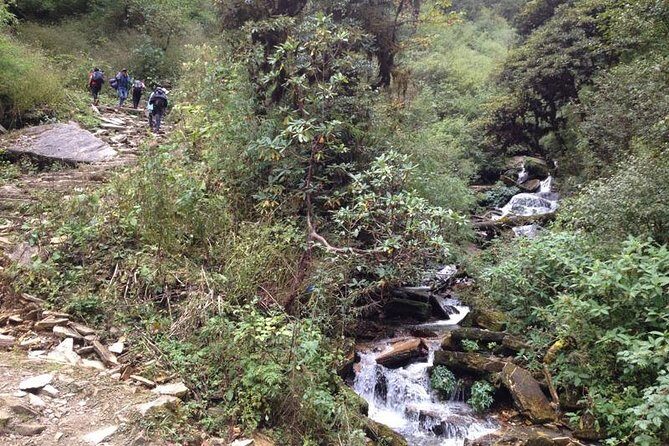 Ghorepani Poon Hill Trek - An Overview of the Ghorepani Poon Hill Trek