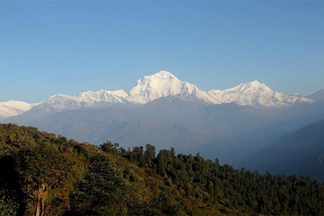 Ghorepani Poon Hill Trek - Logistics and Value