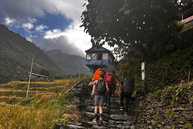 Ghorepani Poonhill Private Trek - 2 nights / 3 days - Authenticity and Reviews