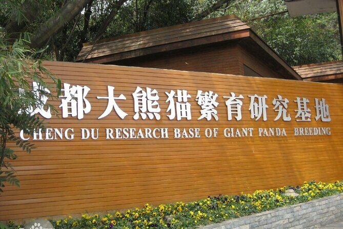 Giant Panda and Leshan Buddha Day Trip from Chengdu - Authenticity and Traveler Feedback