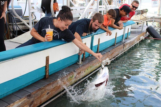 Giant Tarpon Fish Feeding Experience in Bayside Marketplace - The Sum Up