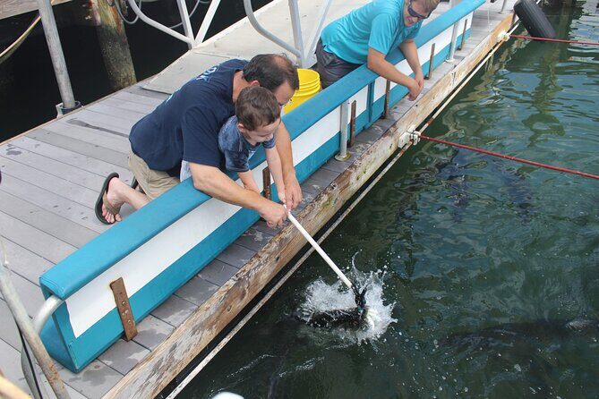 Giant Tarpon Fish Feeding Experience in Bayside Marketplace - FAQ
