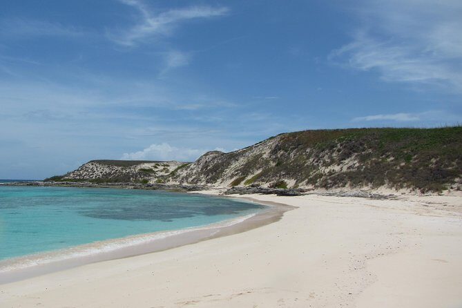 Gibbs Cay Stingray and Conch Dive Adventure - Key Points
