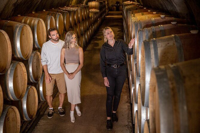 Gibbston Valley Wines - Cave Tour - The Itinerary: What to Expect