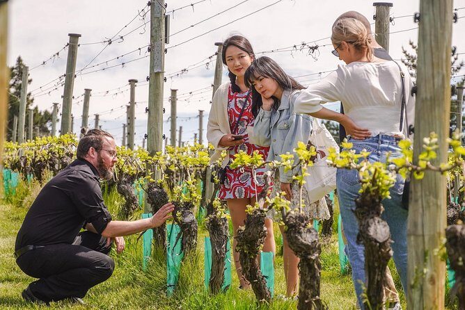 Gibbston Valley Wines - Cave Tour - Frequently Asked Questions