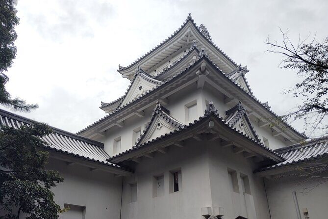 Gifu: Samurai Legends at gaki Castle and History Museum - Who Should Consider This Tour?