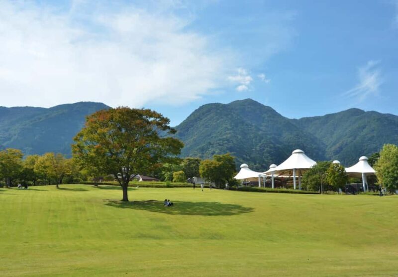 Gifu: Yrs Unforgettable Walkable Artwork - What Is the Gifu Walkable Artwork Experience?