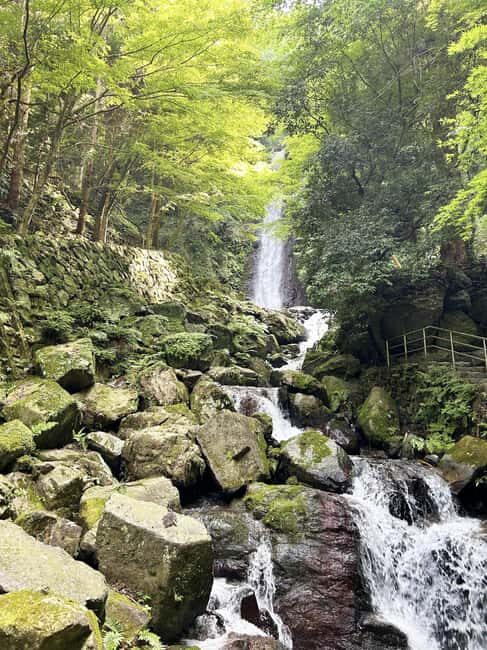 Gifu: Yrs Unforgettable Walkable Artwork - The Environment: A Living Artwork