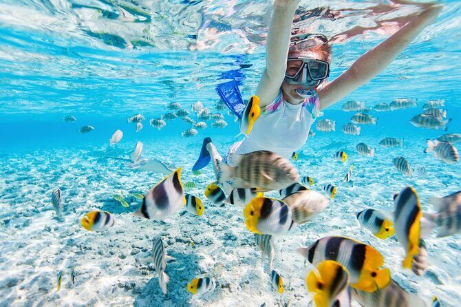 Gili Air : Private Snorkeling with 4 spots - Rest and Lunch Break in Gili Meno