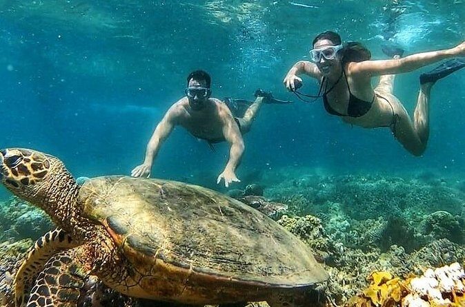 Gili Air : Private Snorkeling with 4 spots - Authentic Experiences and Authenticity