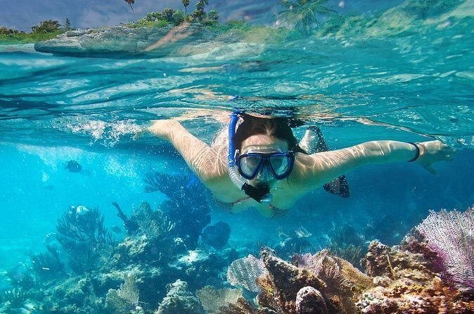 Gili Air : Private Snorkeling with 4 spots - Value for Money