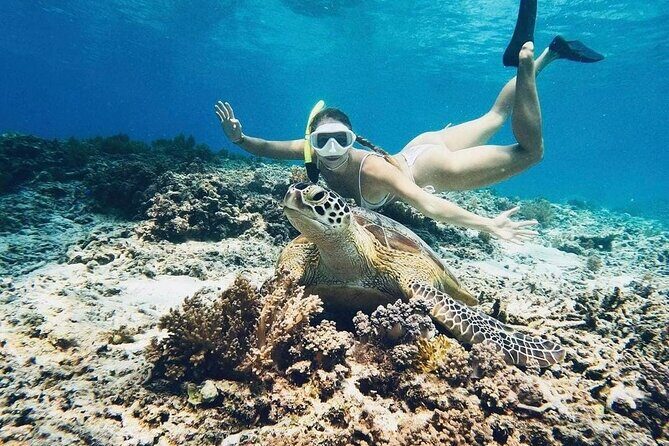 Gili Air: Snorkeling 3 Gili Islands with GoPro Camera - An In-Depth Look at the Tour Experience