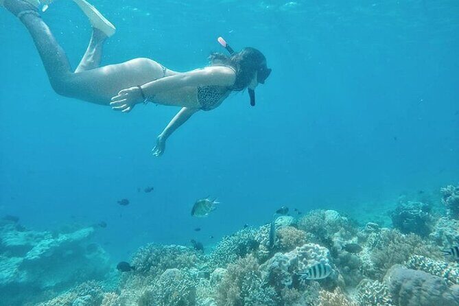 Gili island Snorkeling Half Day Trip departure from Gili Trawangan - The Experience from the Reviews