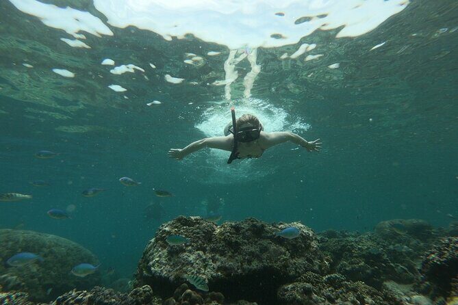 Gili island Snorkeling Half Day Trip departure from Gili Trawangan - Practical Tips for Travelers