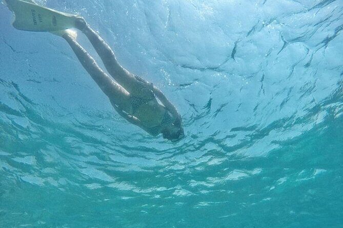 Gili island Snorkeling Half Day Trip departure from Gili Trawangan - Is This Tour Right for You?