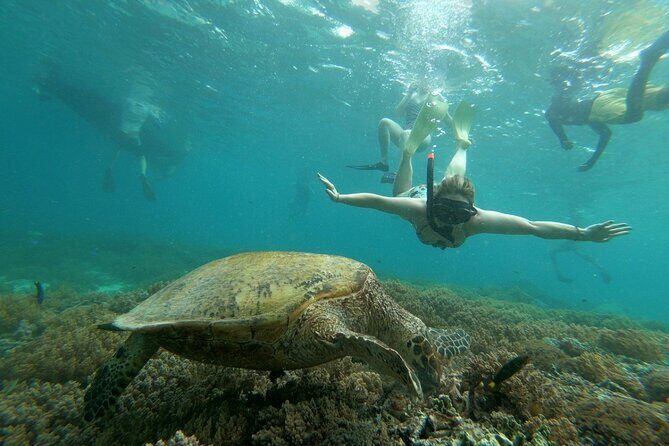 Gili island Snorkeling Half Day Trip departure from Gili Trawangan - FAQ