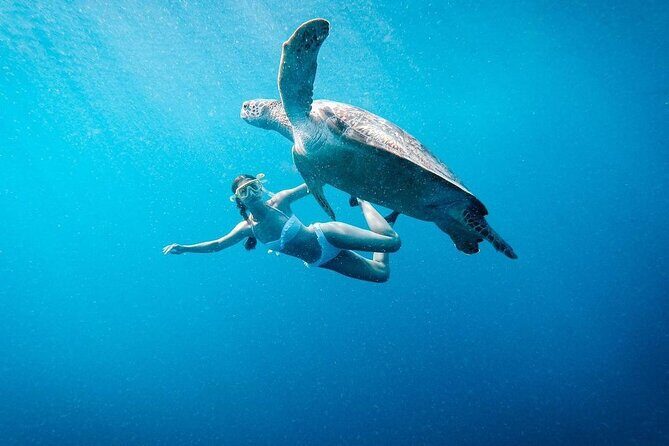 Gili Island Snorkeling Trip - Gili Trawangan, Gili Meno, & Gili Air, From Lombok - An In-Depth Look at the Gili Islands Snorkeling Tour
