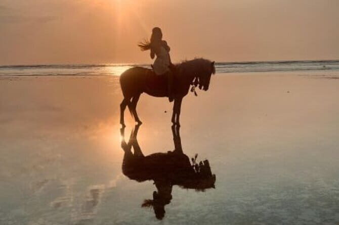 Gili Trawangan Beach Horseback Riding with Pickup Hotel - Key Points