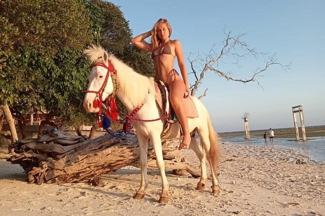 Gili Trawangan Beach Horseback Riding with Pickup Hotel - Who Should Consider This Tour