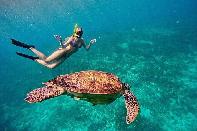 Gili Trawangan : Private Snorkeling with 3 spots or 4 spots - What the Tour Includes and What You Should Consider