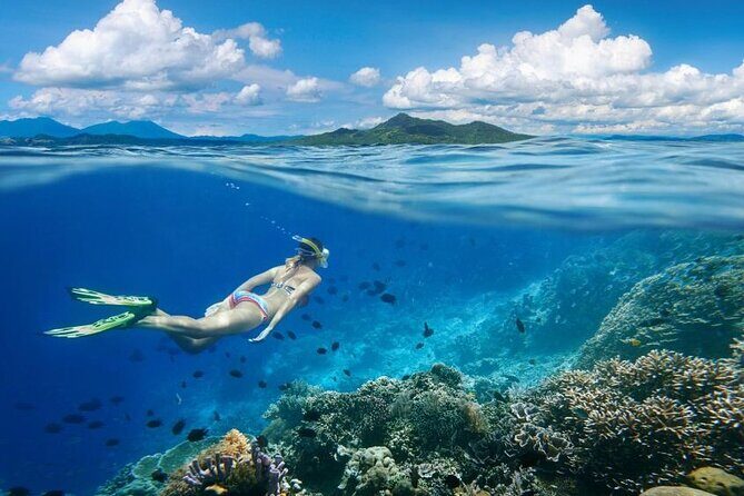 Gili Trawangan : Private Snorkeling with 3 spots or 4 spots - Value for Money
