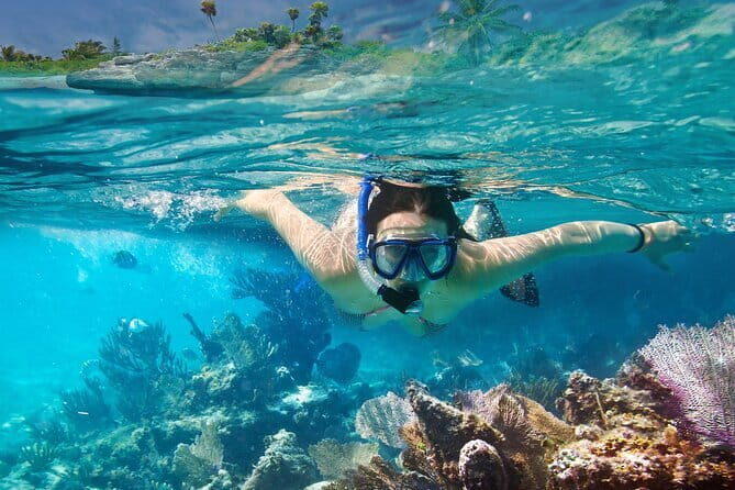 Gili Trawangan Snorkeling with Turtles & Underwater Statue - The Sum Up