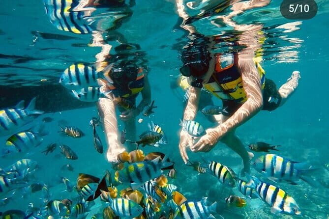 Gili Trawangan Snorkeling with Turtles & Underwater Statue - FAQ