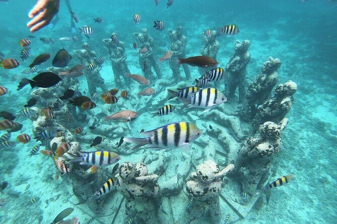 Gili Trawangan,Gili Meno& Gili Air Island:Snorkeling Day Trip Depart from Lombok - Exploring Lombok’s Gili Islands: A Snorkeling Day Trip Review