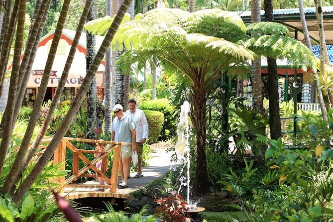 Ginger Factory and Nutworks Return Bus Transfer: Sunshine Coast - The Ginger Factory: A Blend of Nature, Education, and Flavour