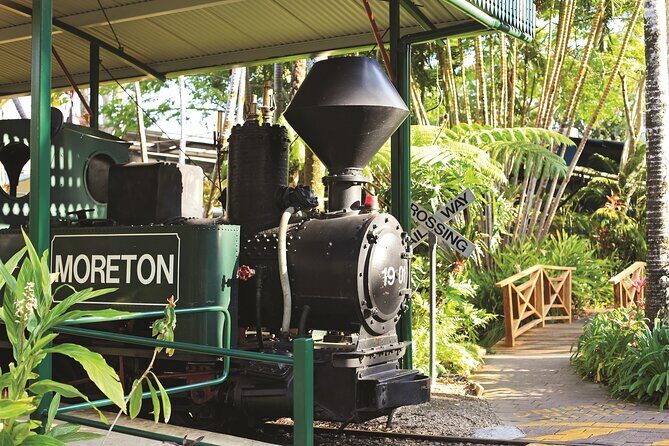 Ginger Factory and Nutworks Return Bus Transfer: Sunshine Coast - Timing and Free Exploration