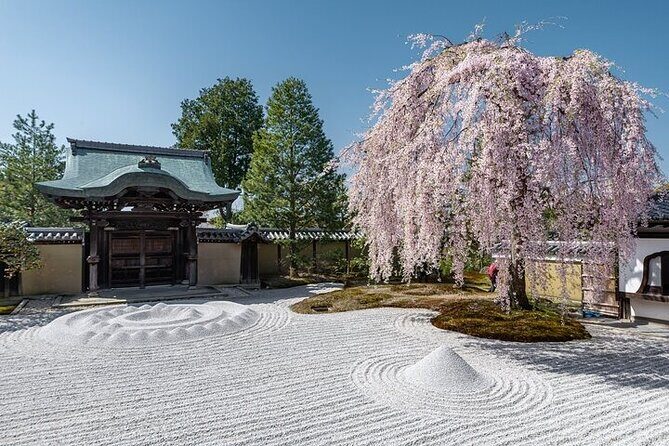 Gion and Kiyomizu Temple Tour to enjoy Kyoto in a short time - Key Points