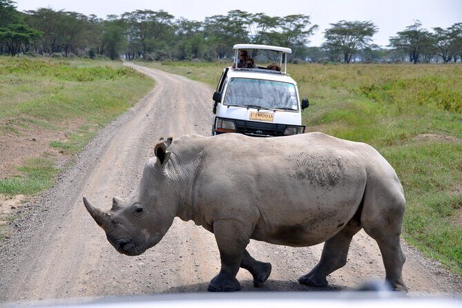Giraffe Center, Elephant Orphanage and Nairobi National Park Day Tour Nairobi - Final Thoughts