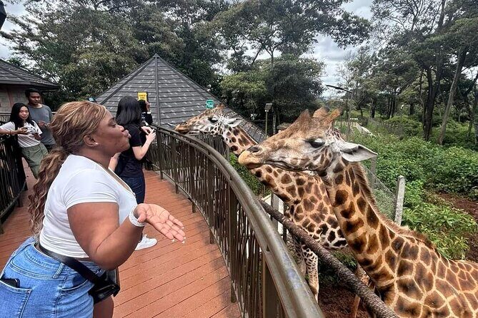 Giraffe Centre and Bomas of Kenya from Nairobi - Exploring the Day in Detail