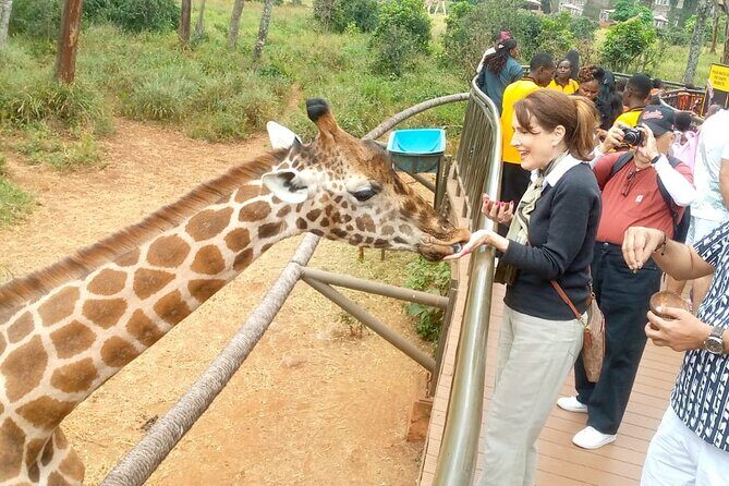 Giraffe Centre and Bomas of Kenya from Nairobi - FAQs