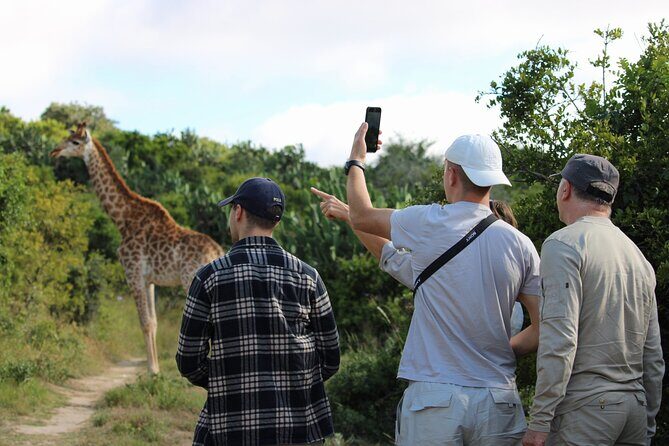 Giraffe Tracking 4x4 Safaris - Key Points